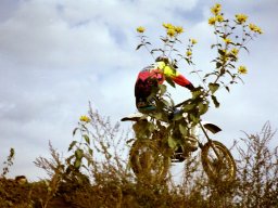 Classic Offroad Festival 2002