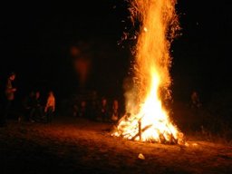 Classic Offroad Festival 2005