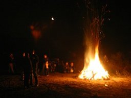 Classic Offroad Festival 2005